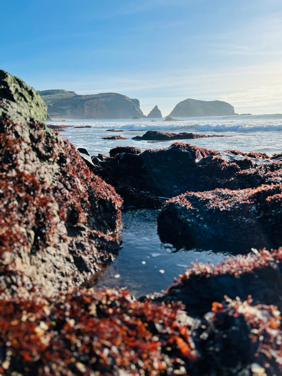 Rodeo Beach: A Wonderful Coastal Pacific Beach