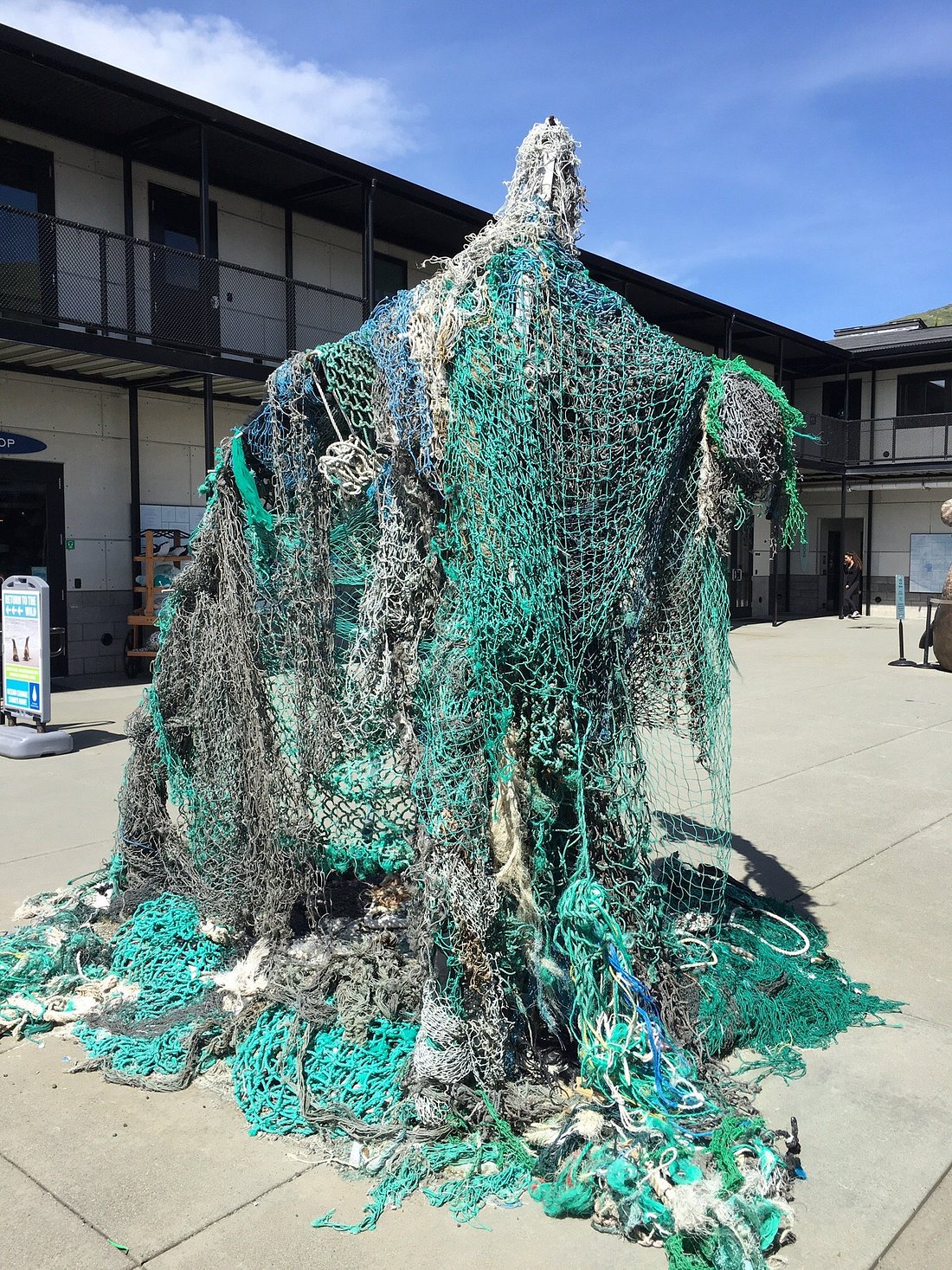 Marine Mammal Center: It's great to help the marine life up and down the coast