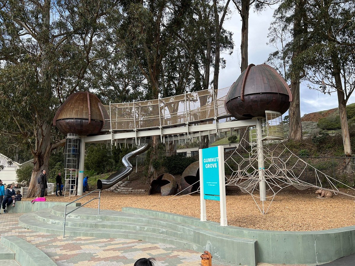 Bay Area Discovery Museum: Fun Place for Toddlers to Burn Engergy