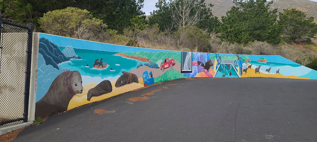 Marine Mammal Center: It's great to help the marine life up and down the coast