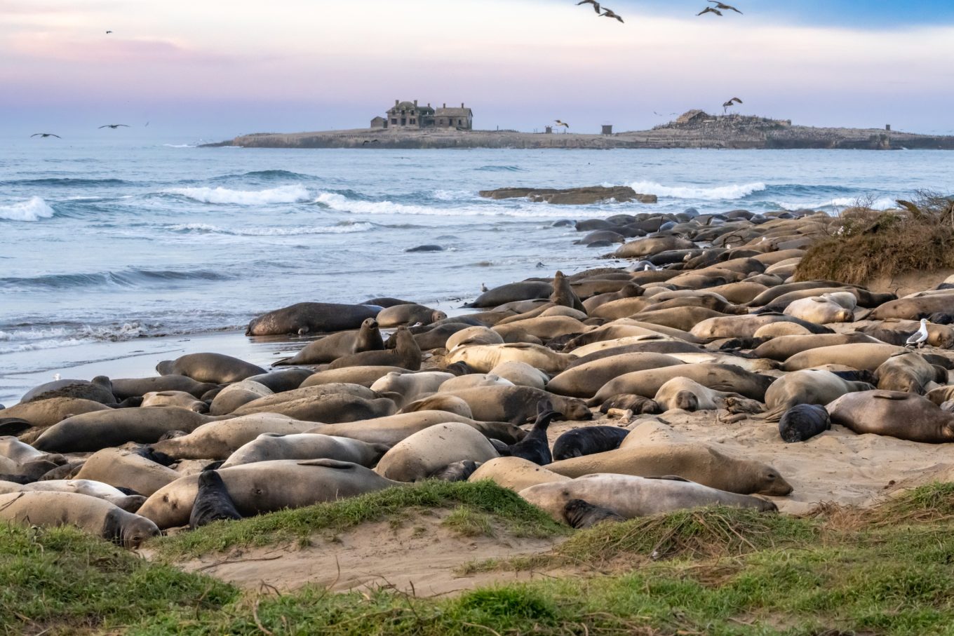 Half Moon Bay State Beach Park: Camping & Activity Guide
