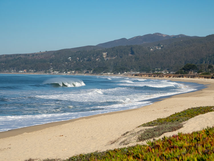 Your 5 Best Beaches in Half Moon Bay!
