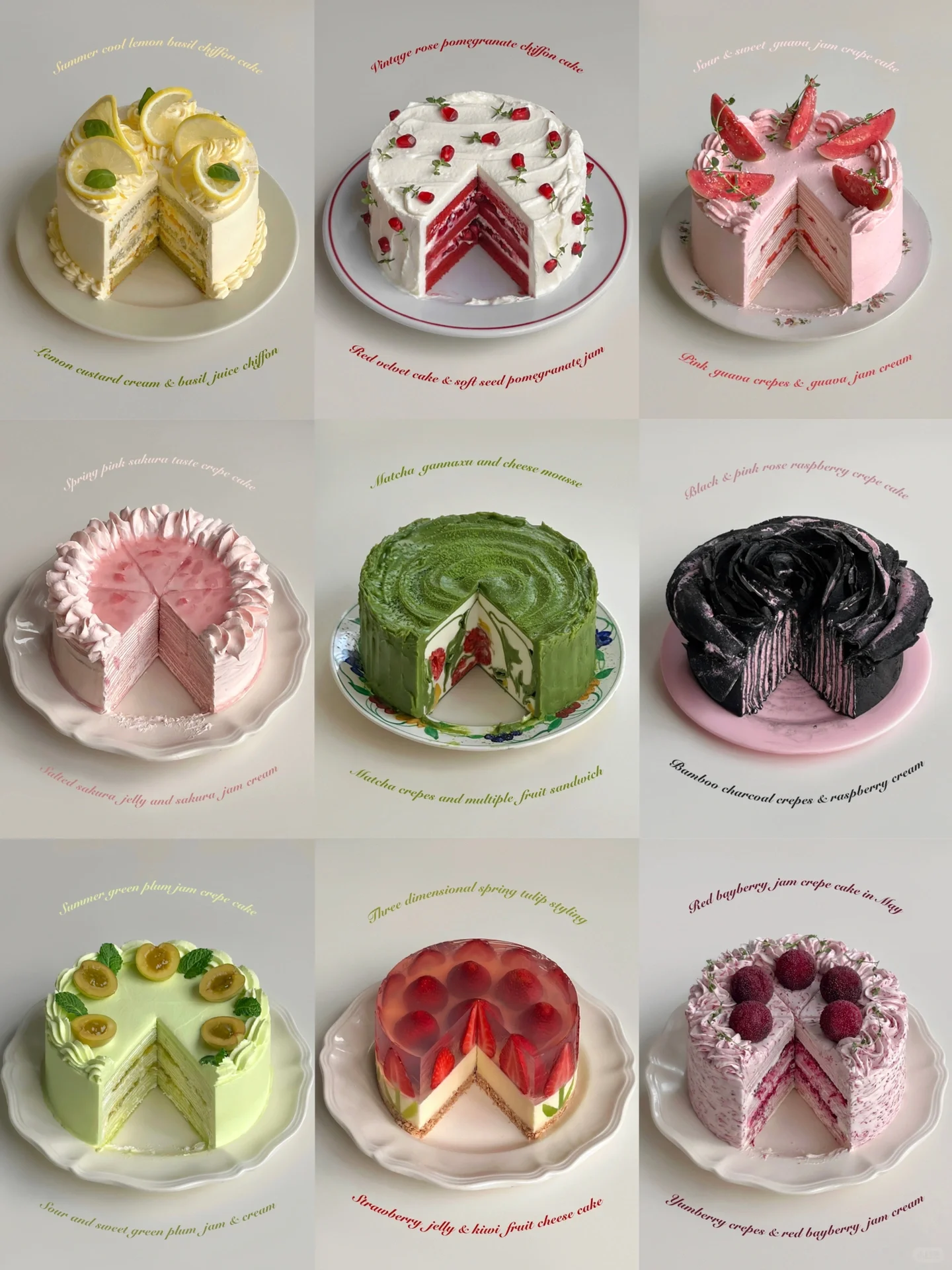 📋 Cake Collection | My Wild Baking Diary 🍰📝