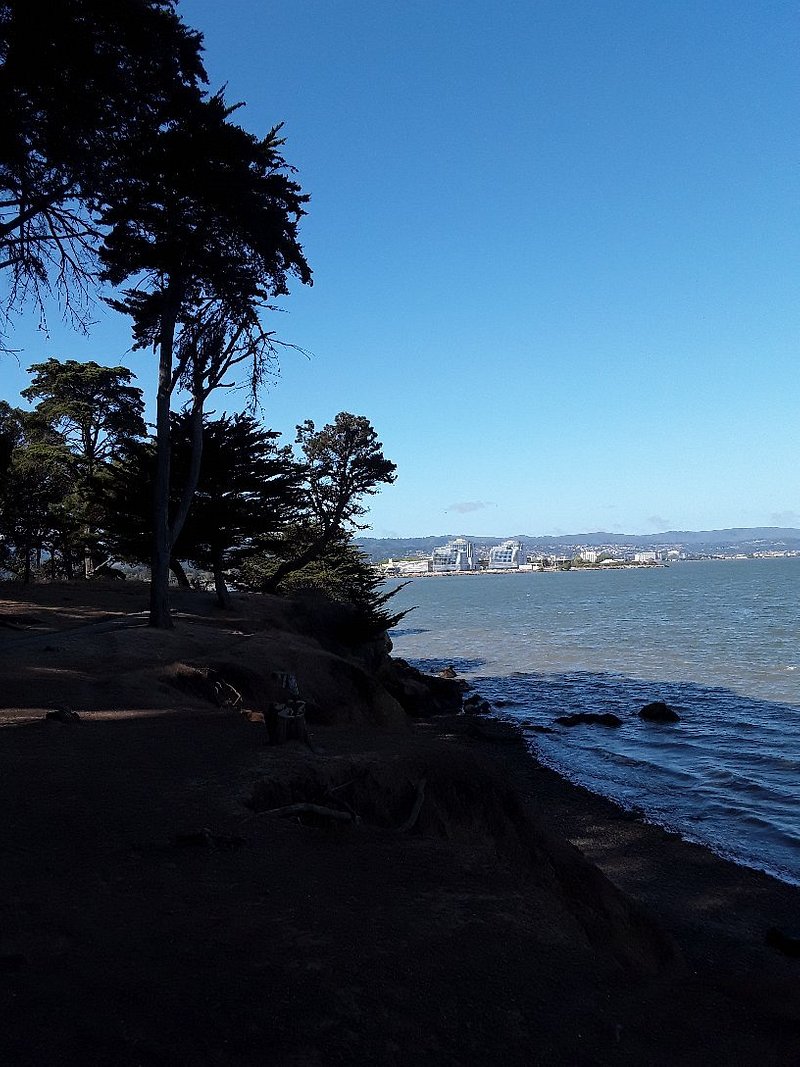 Coyote Point Recreation Area: Great Picnic Area and Views on the Bay