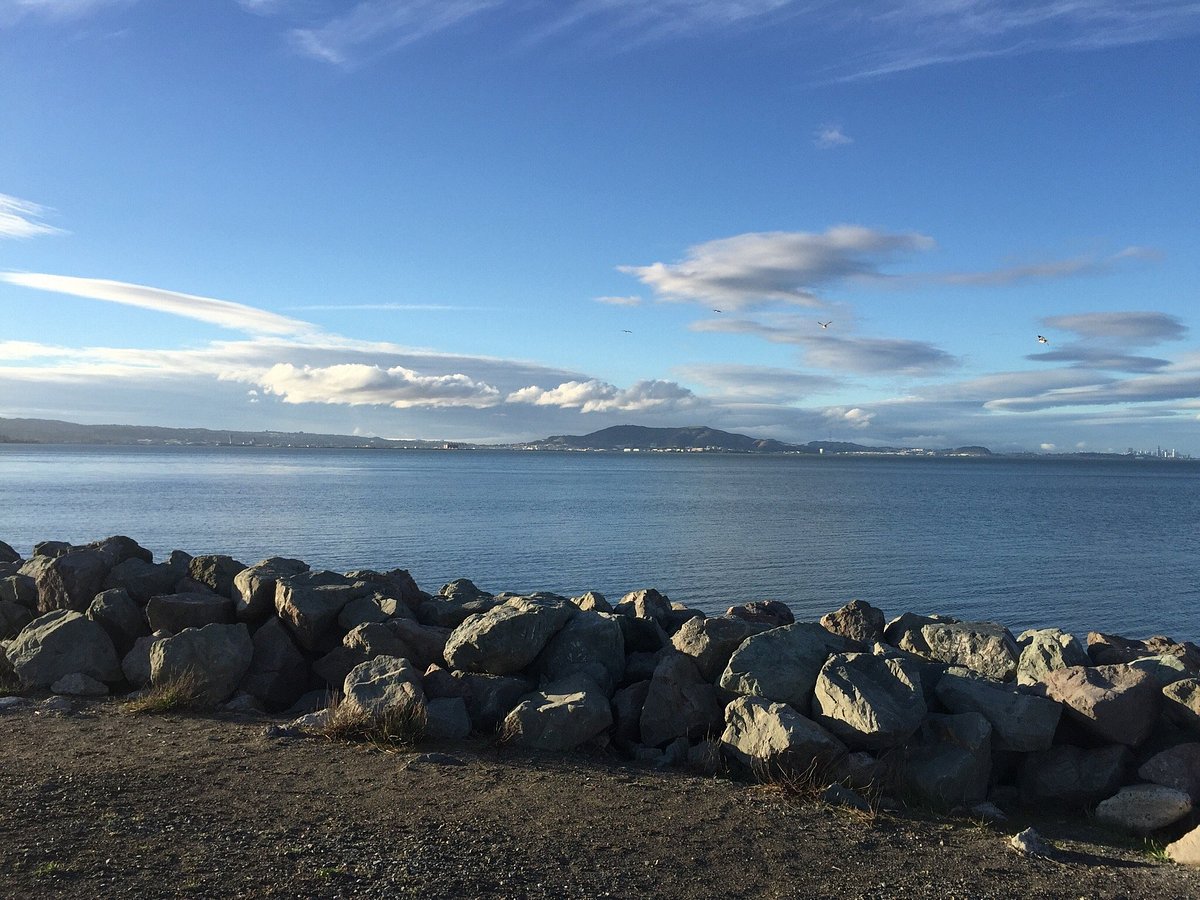 Coyote Point Recreation Area: Great Picnic Area and Views on the Bay