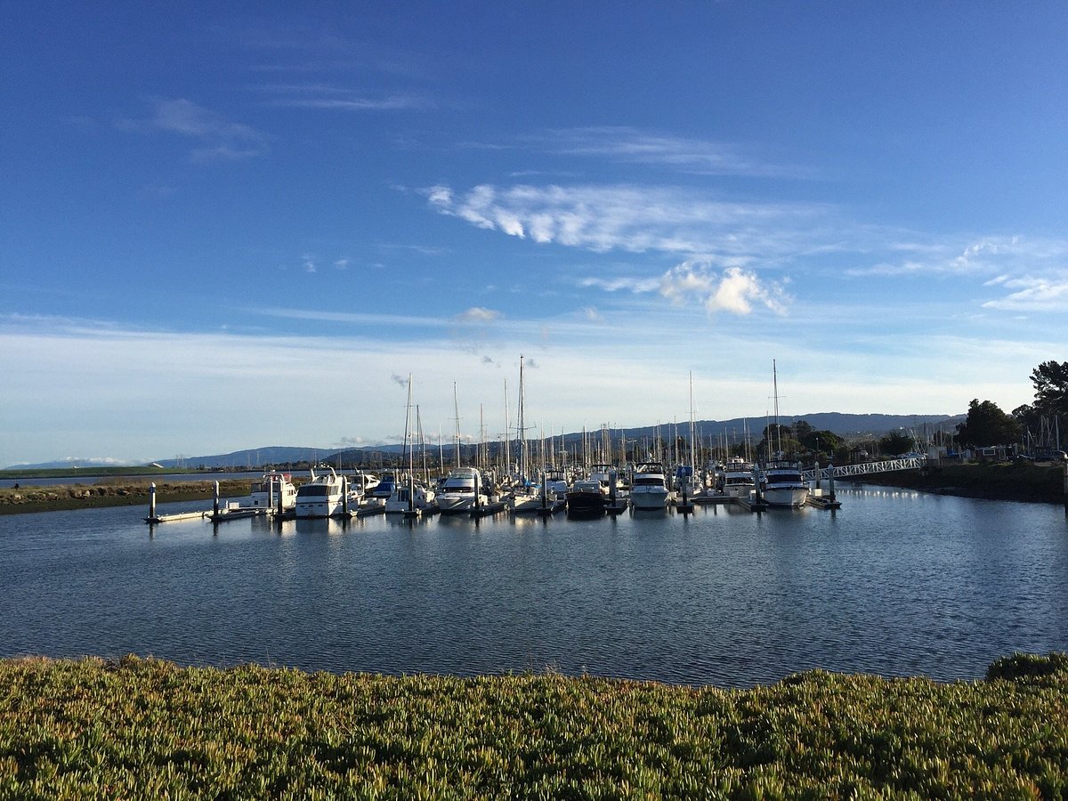 Coyote Point Recreation Area: Great Picnic Area and Views on the Bay