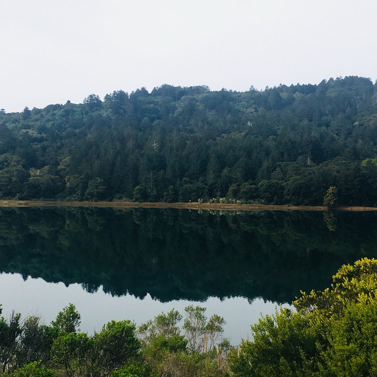 Nice Scenic Walk on Sawyer Camp Trail