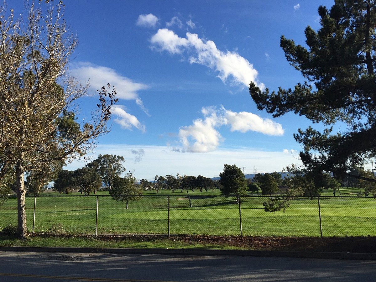 Coyote Point Recreation Area: Great Picnic Area and Views on the Bay