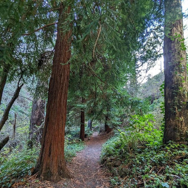 The San Francisco Peninsula: Remarkable, Diverse and Interesting