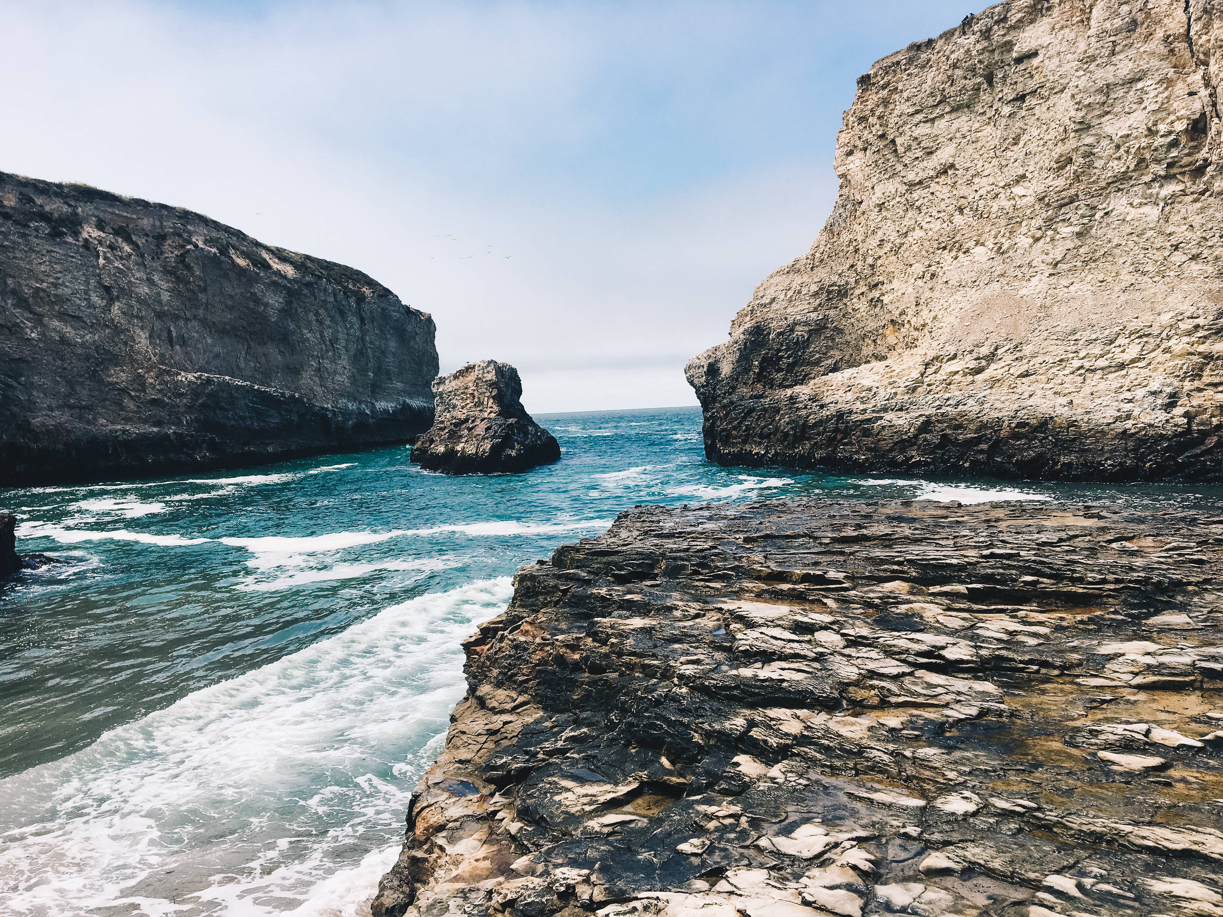 Davenport Beach is a beautiful place to explore tidepools