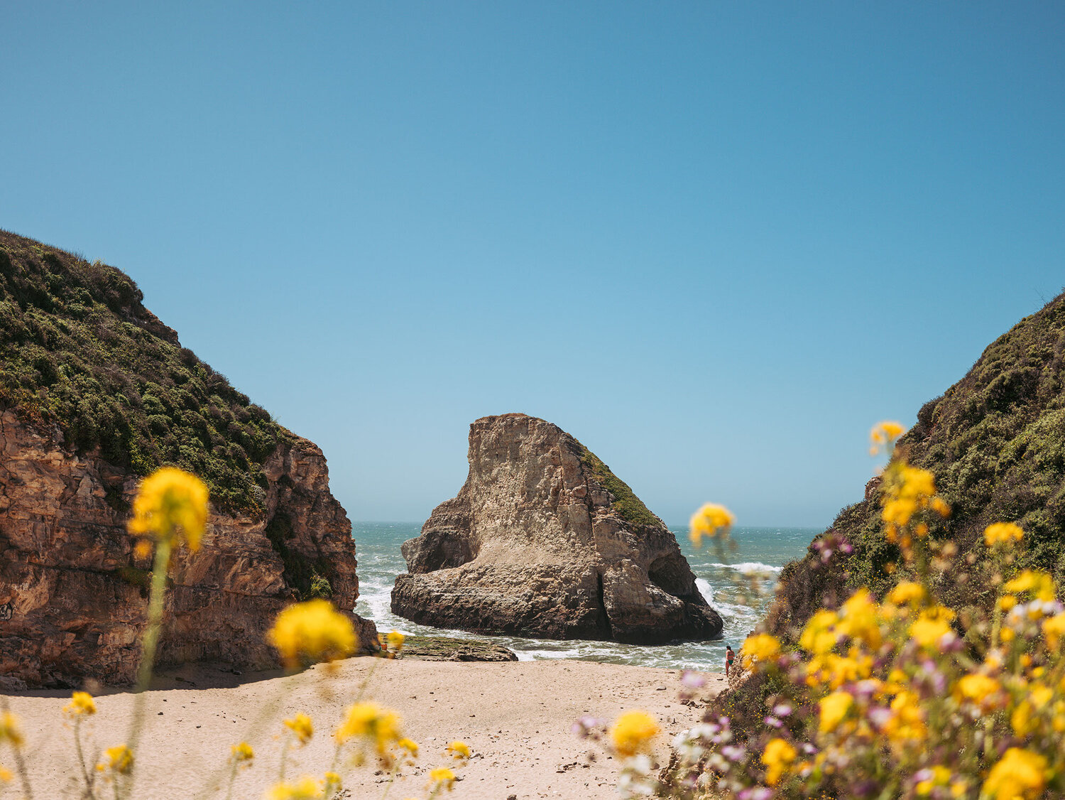 Davenport Beach is a beautiful place to explore tidepools