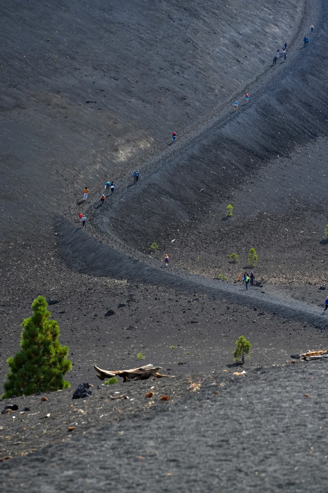 Exploring Lassen: A Journey to the Cinder Cone and Painted Dunes!