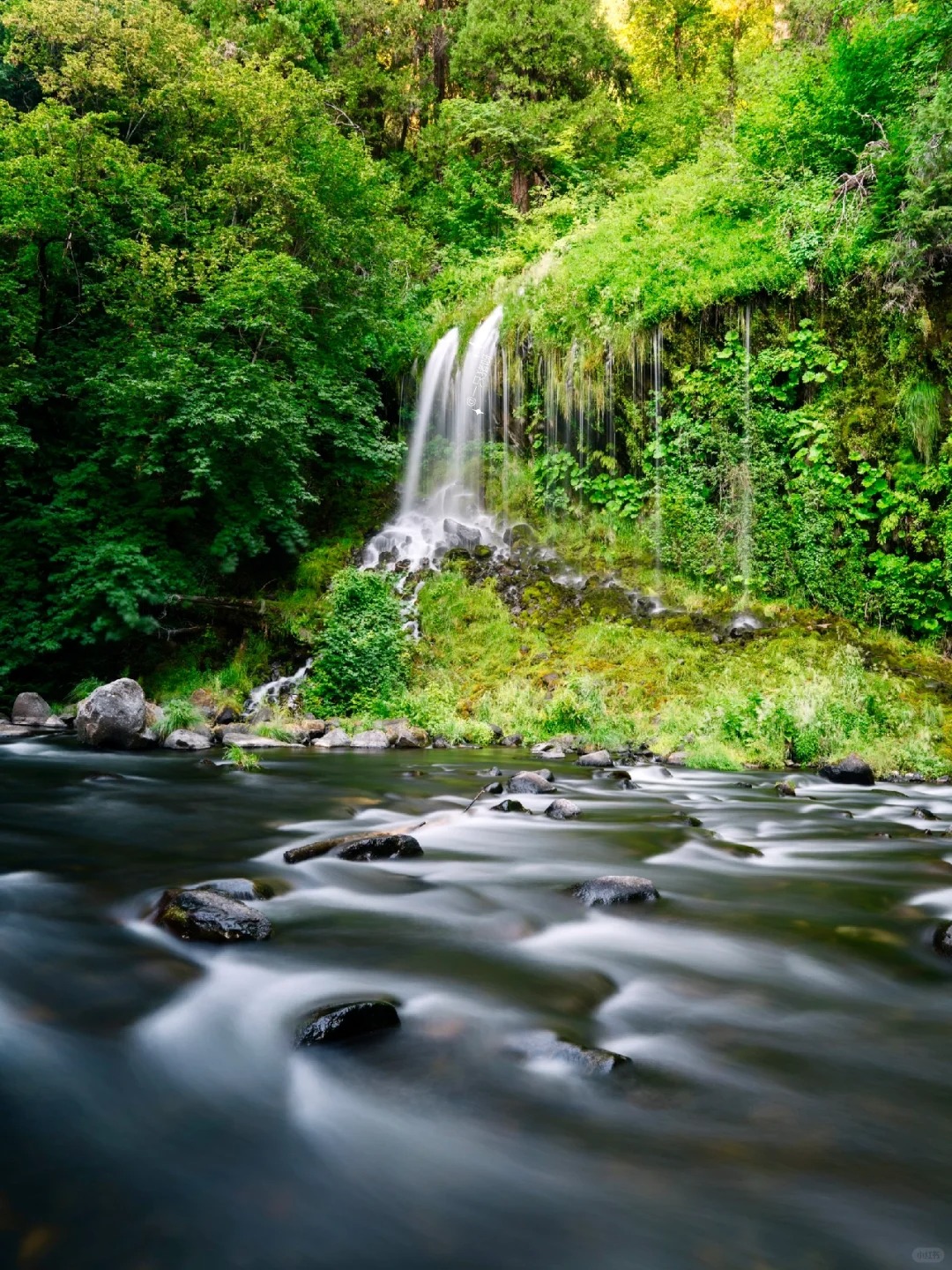 Embarking on an Enchanting Journey to Mossbrae Falls Along the Railroad 🛤️