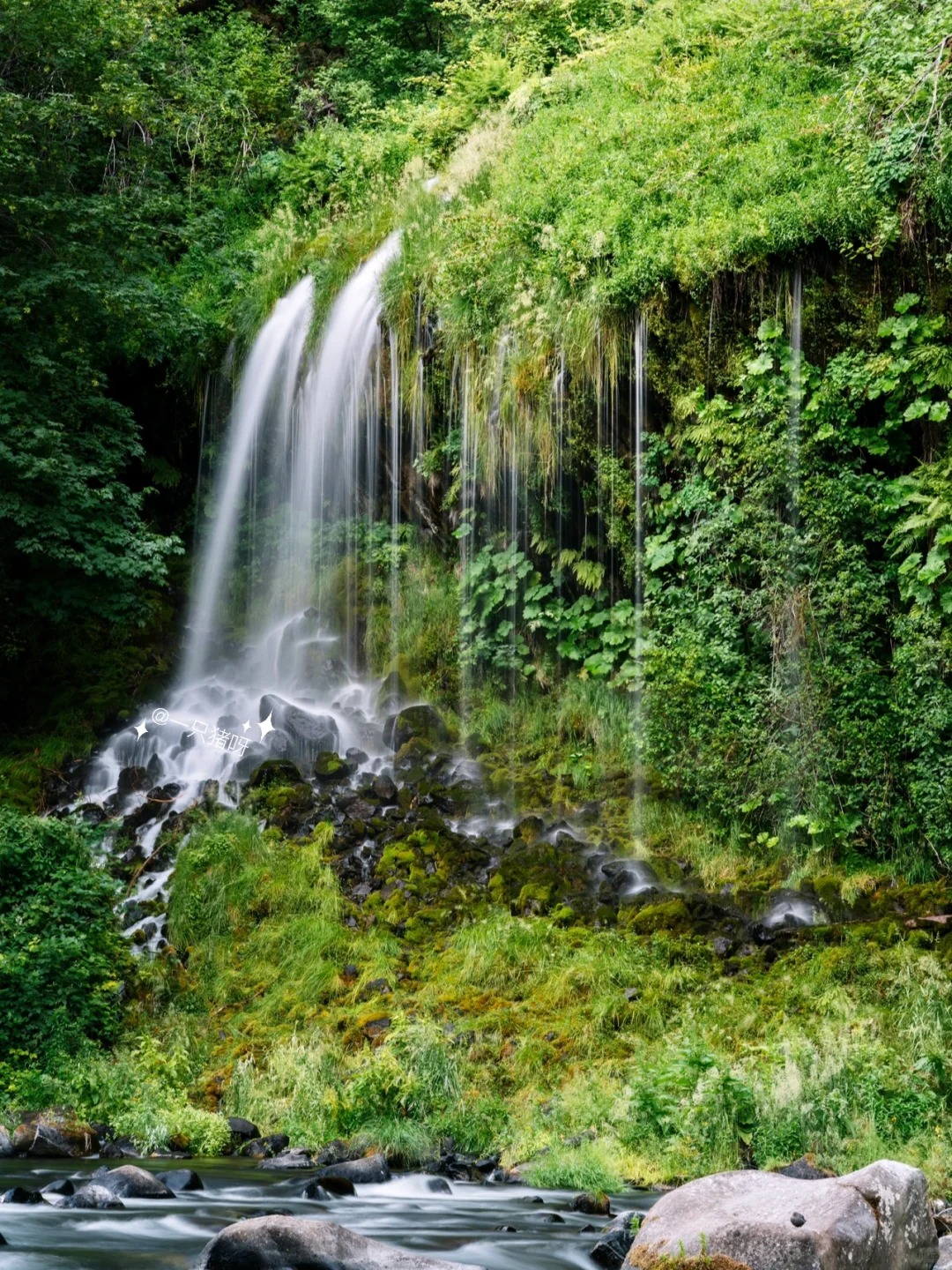 Embarking on an Enchanting Journey to Mossbrae Falls Along the Railroad 🛤️