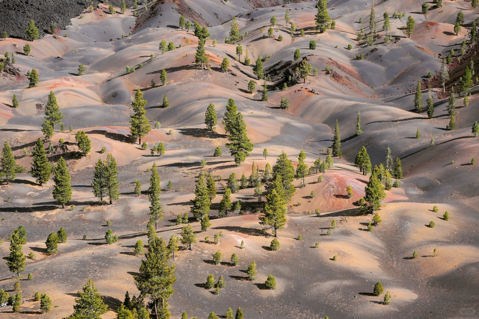 Exploring Lassen: A Journey to the Cinder Cone and Painted Dunes!