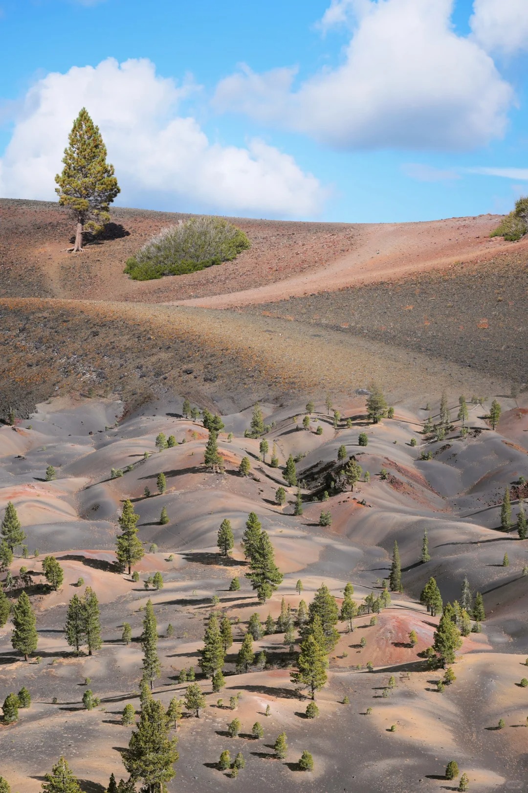 Detailed Itinerary for Exploring Lassen Volcanic National Park 🌋