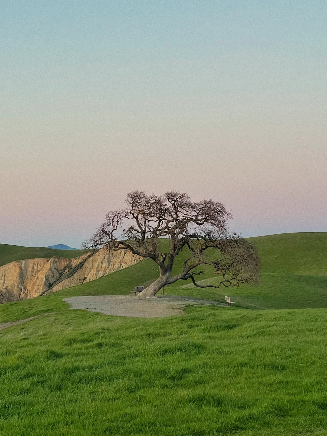 Where to go in the Bay Area on weekends｜Del Valle Lake Trail