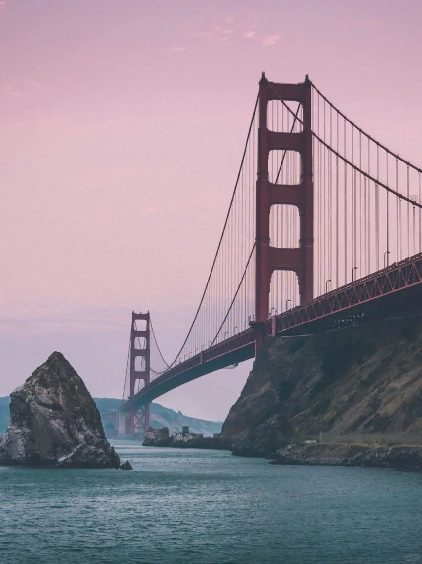  A Big List for Places to See Gray Whales 🐋 