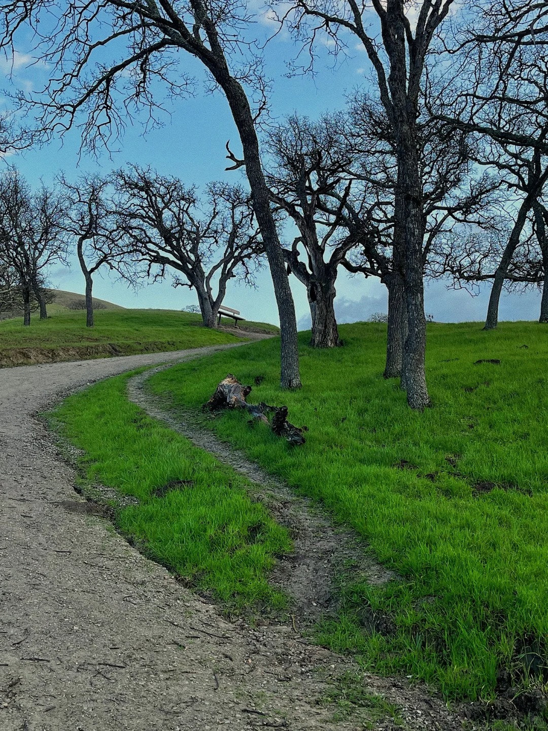 Where to go in the Bay Area on weekends｜Del Valle Lake Trail