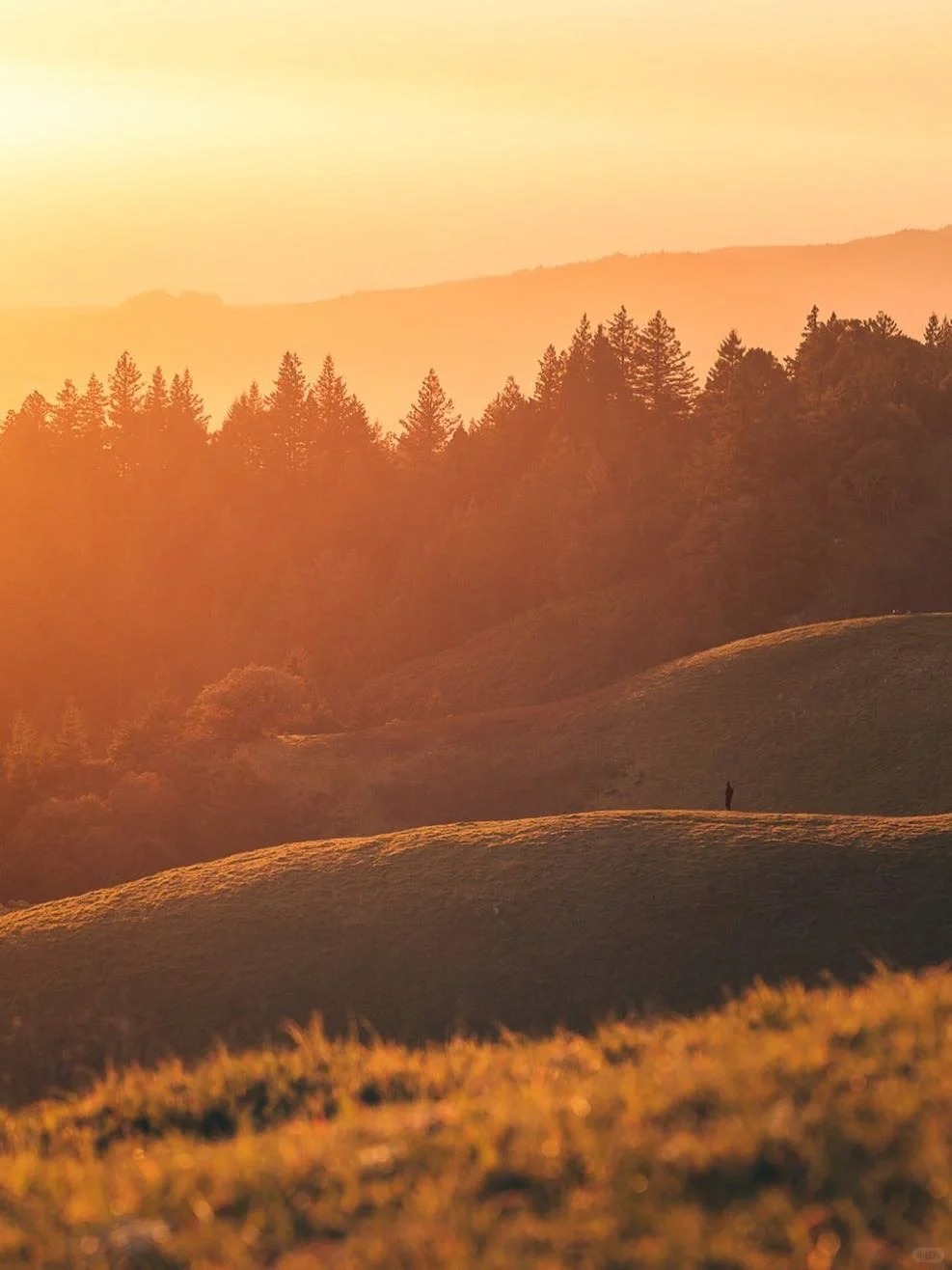 5 Great Places to Get Great Sunset Views🌄