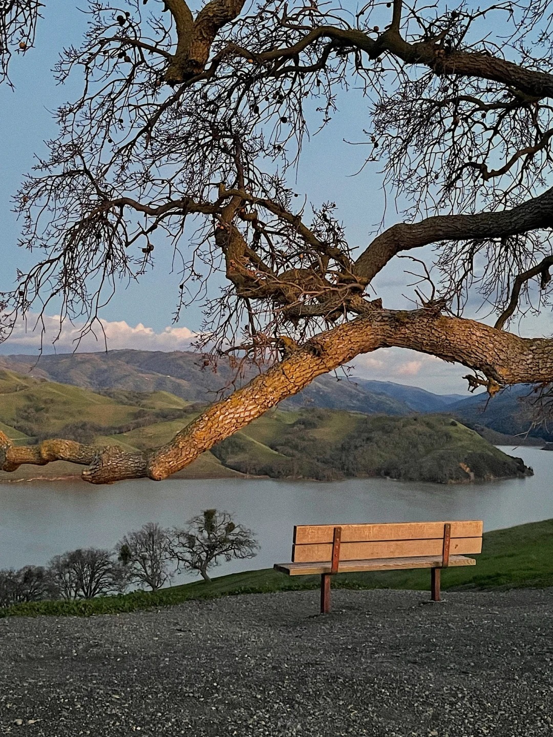 Where to go in the Bay Area on weekends｜Del Valle Lake Trail