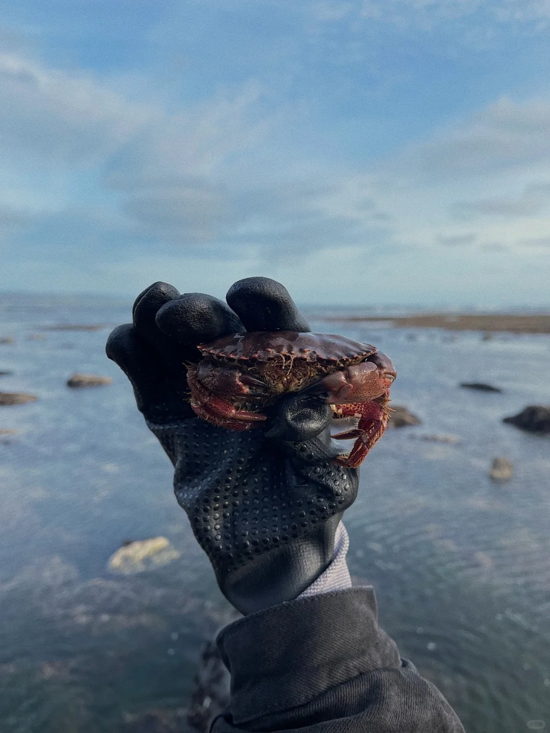 Where to go in the Bay Area on weekends｜Pillar Point Harbor