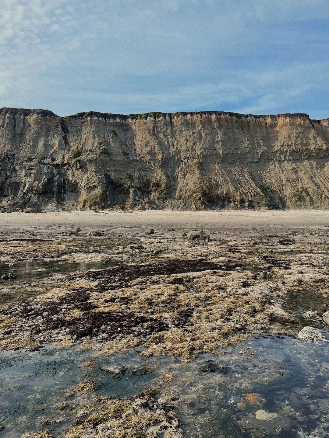 Where to go in the Bay Area on weekends｜Pillar Point Harbor