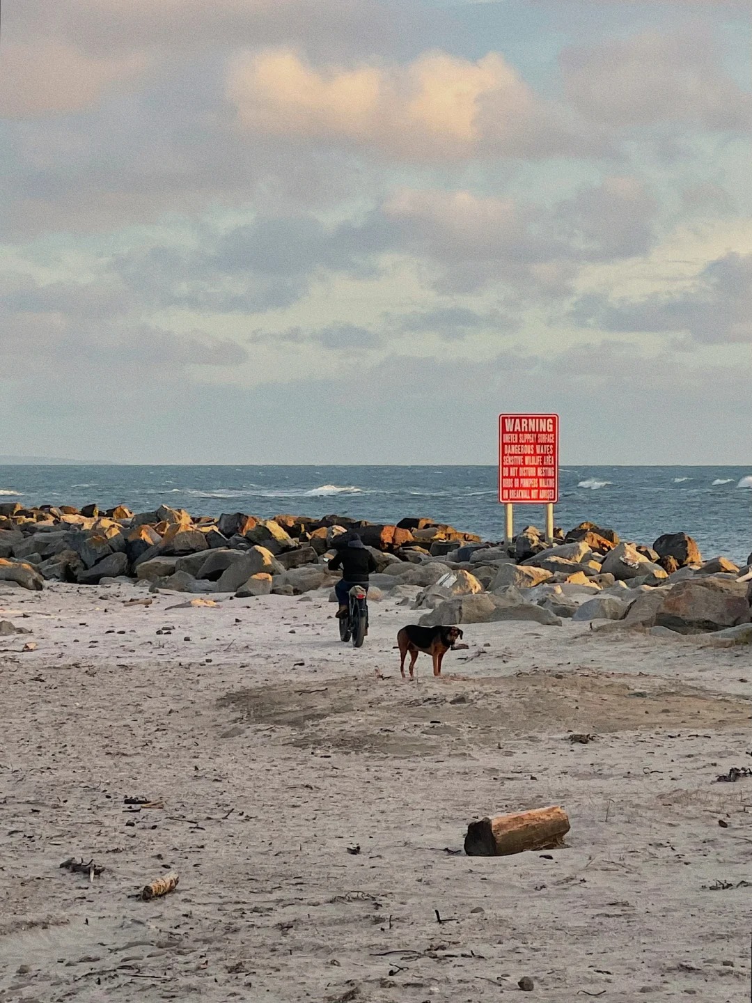 Where to go in the Bay Area on weekends｜Pillar Point Harbor