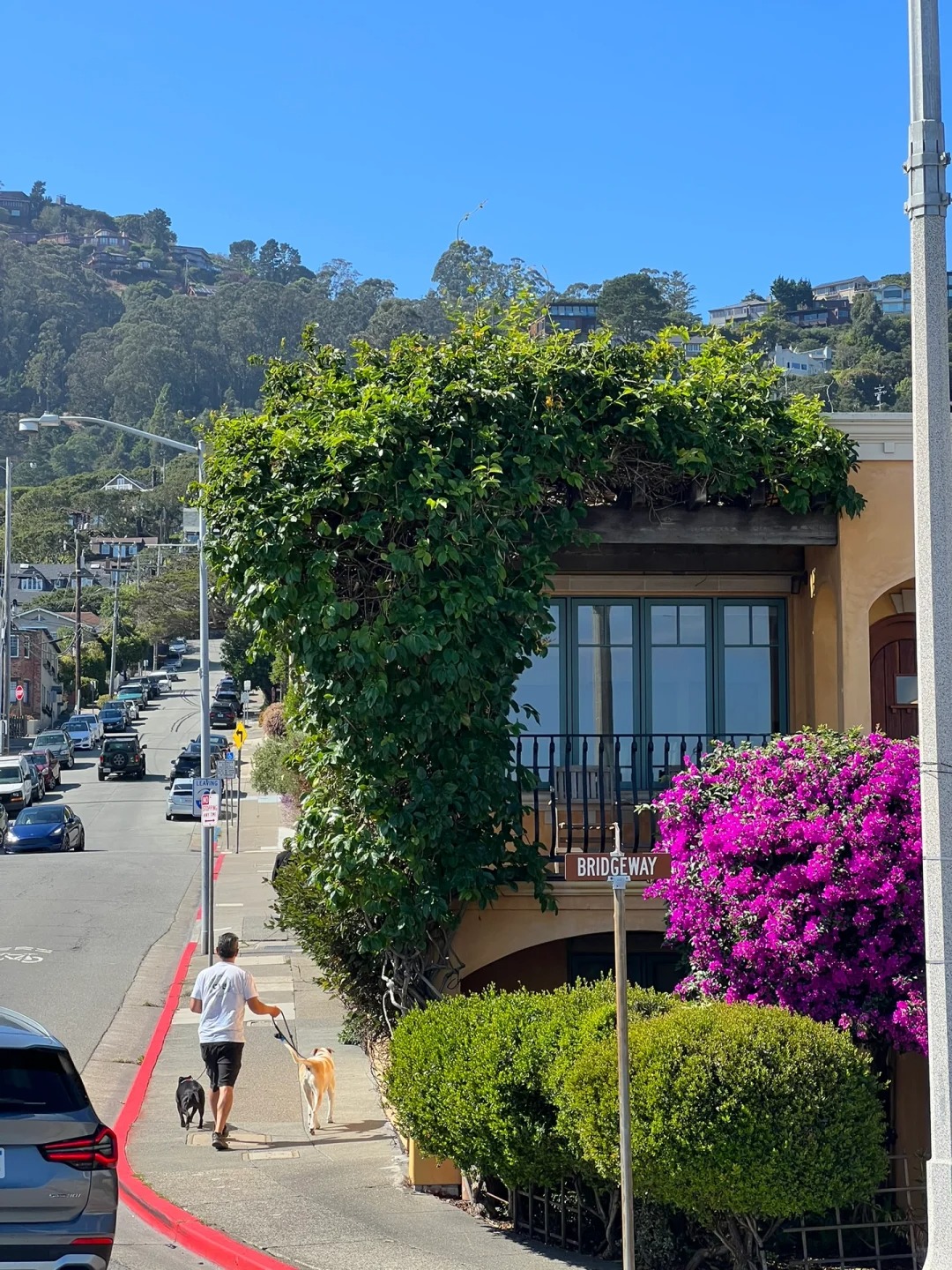 BAY AREA Sausalito: Picturesque