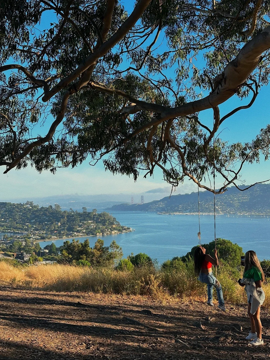 Where to go in the Bay Area on weekends｜Tiburon