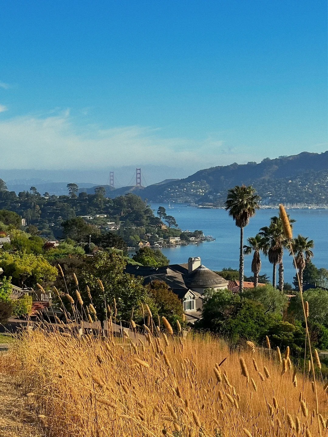 Where to go in the Bay Area on weekends｜Tiburon