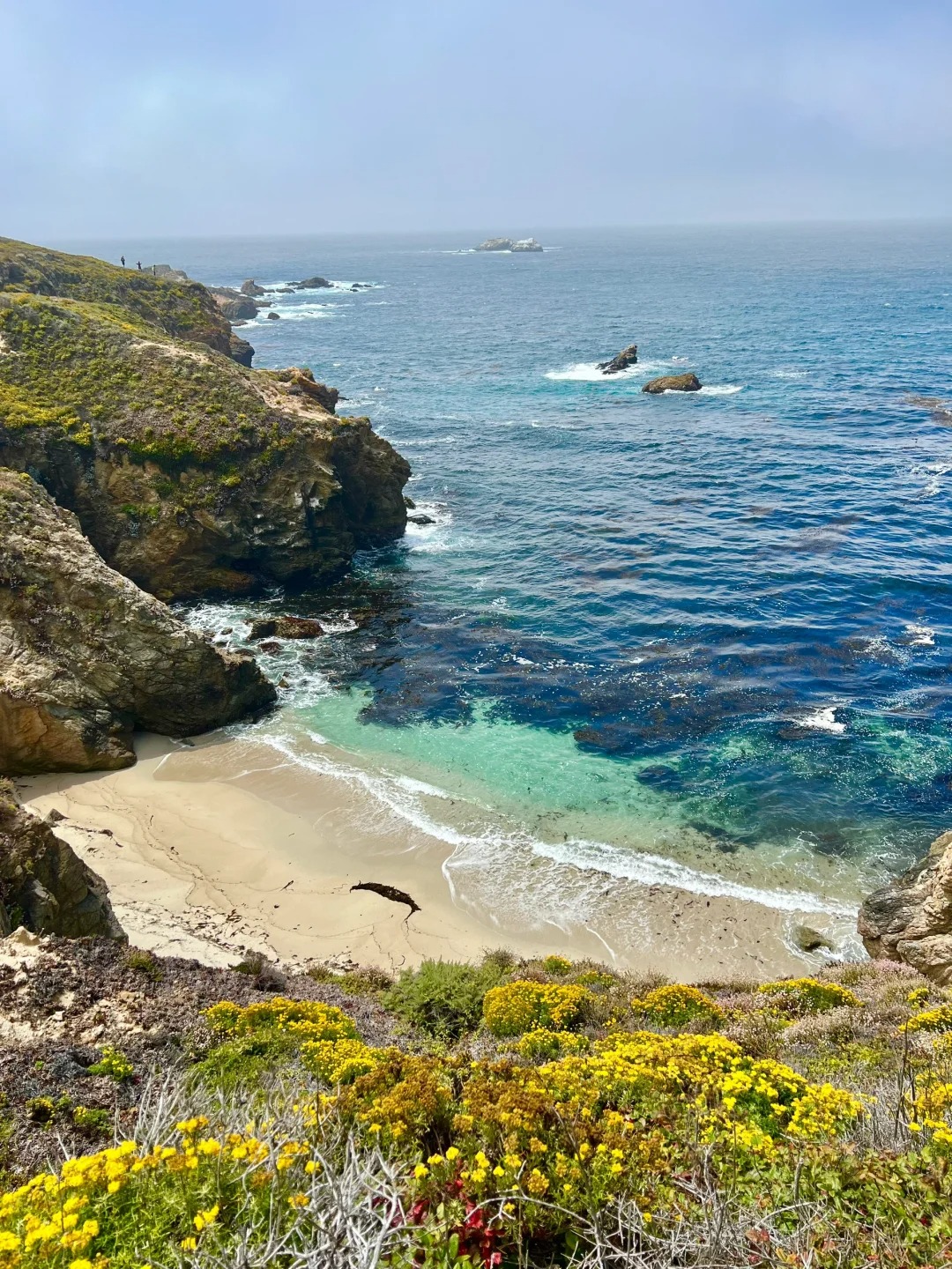 Trail Recommendations｜Bay Area One Stop Double Hidden Gems Trail
Location!!!