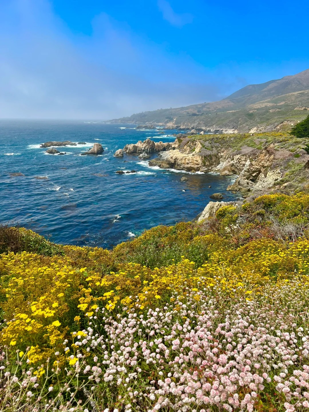 Trail Recommendations｜Bay Area One Stop Double Hidden Gems Trail
Location!!!