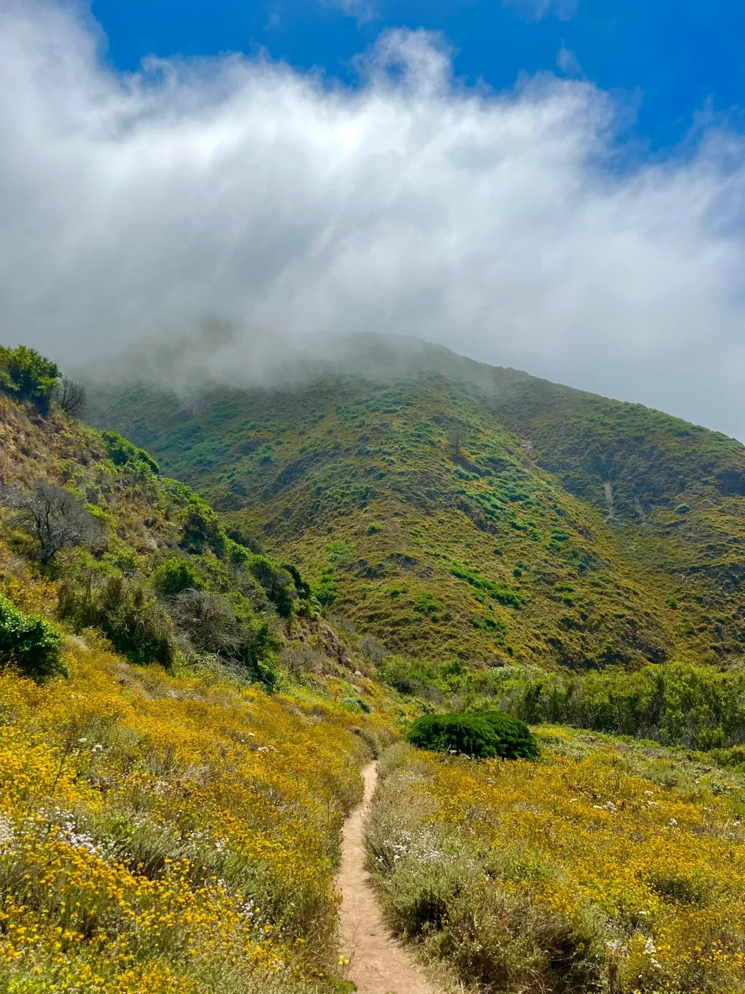 Trail Recommendations｜Bay Area One Stop Double Hidden Gems Trail
Location!!!