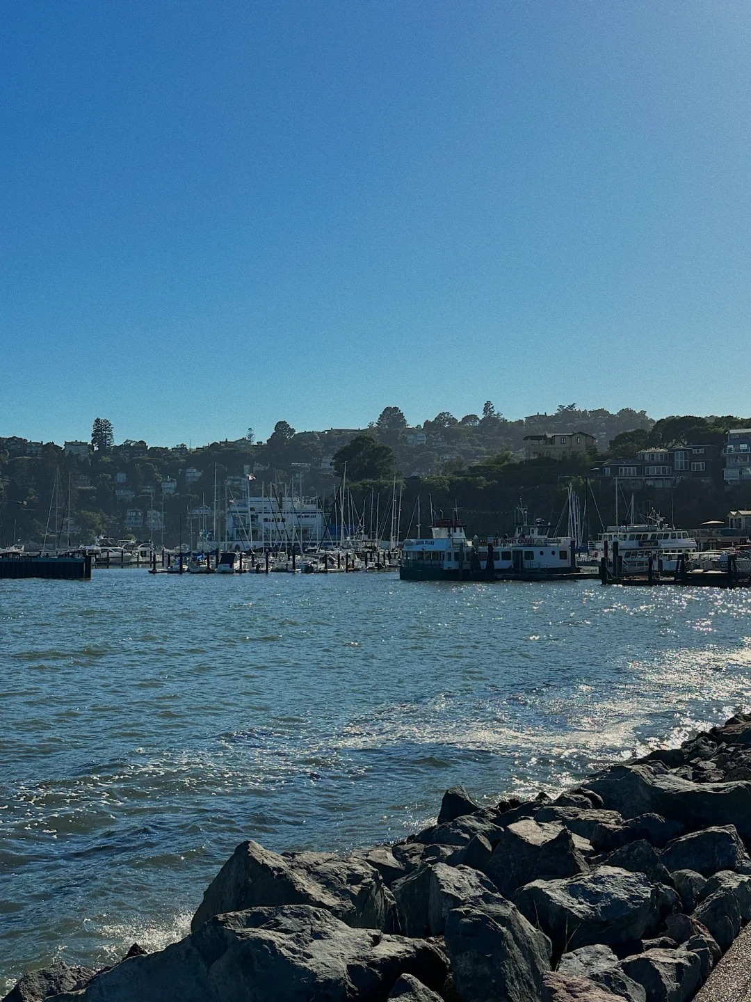 Where to go in the Bay Area on weekends｜Tiburon
