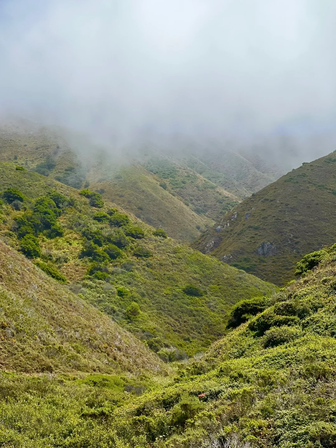 Trail Recommendations｜Bay Area One Stop Double Hidden Gems Trail
Location!!!