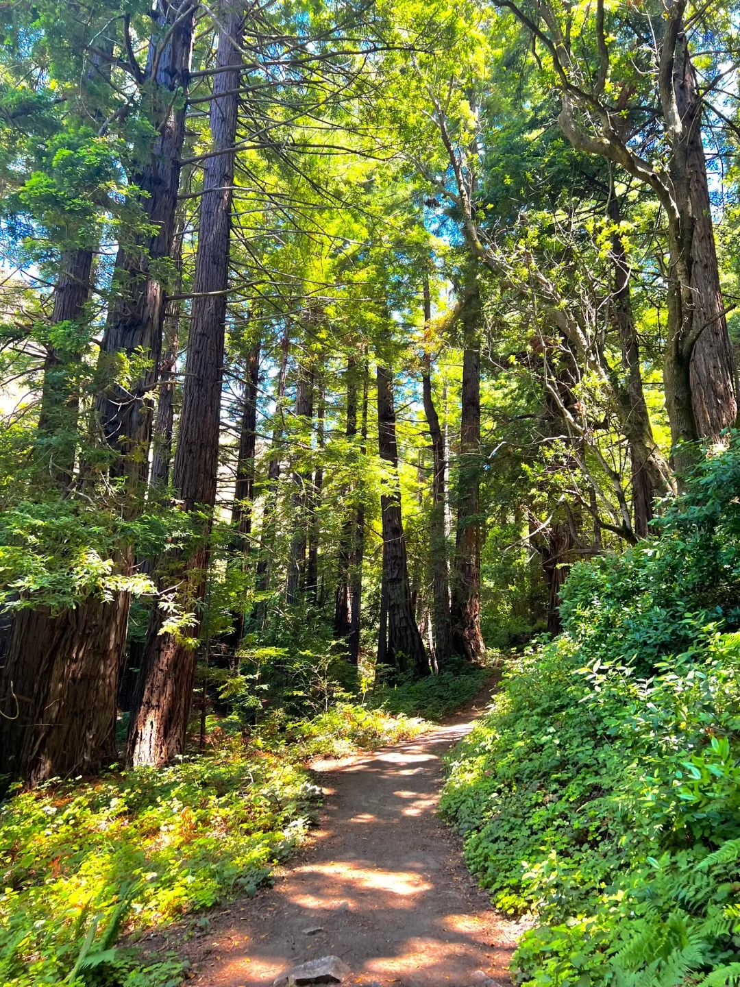 Trail Recommendations｜Bay Area One Stop Double Hidden Gems Trail
Location!!!