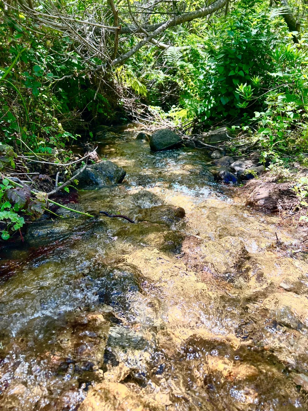 Trail Recommendations｜Bay Area One Stop Double Hidden Gems Trail
Location!!!
