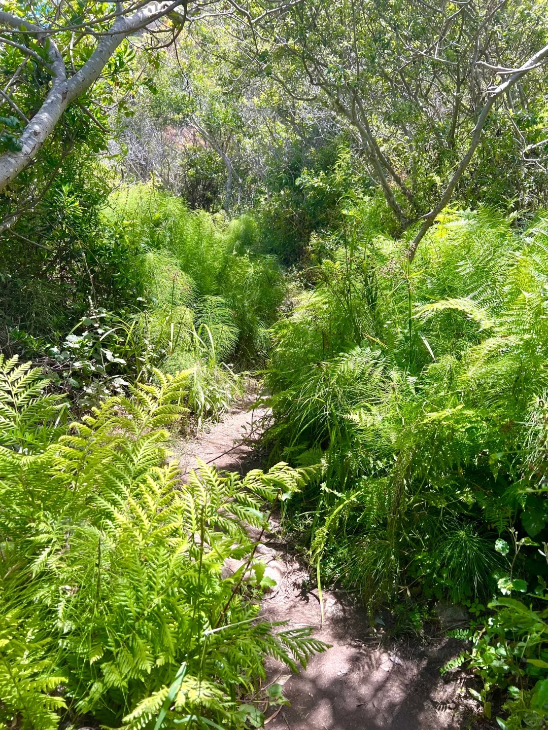Trail Recommendations｜Bay Area One Stop Double Hidden Gems Trail
Location!!!