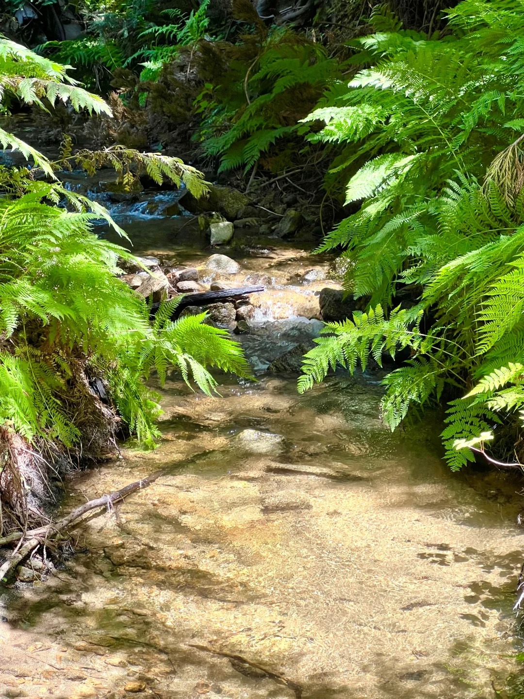 Trail Recommendations｜Bay Area One Stop Double Hidden Gems Trail
Location!!!
