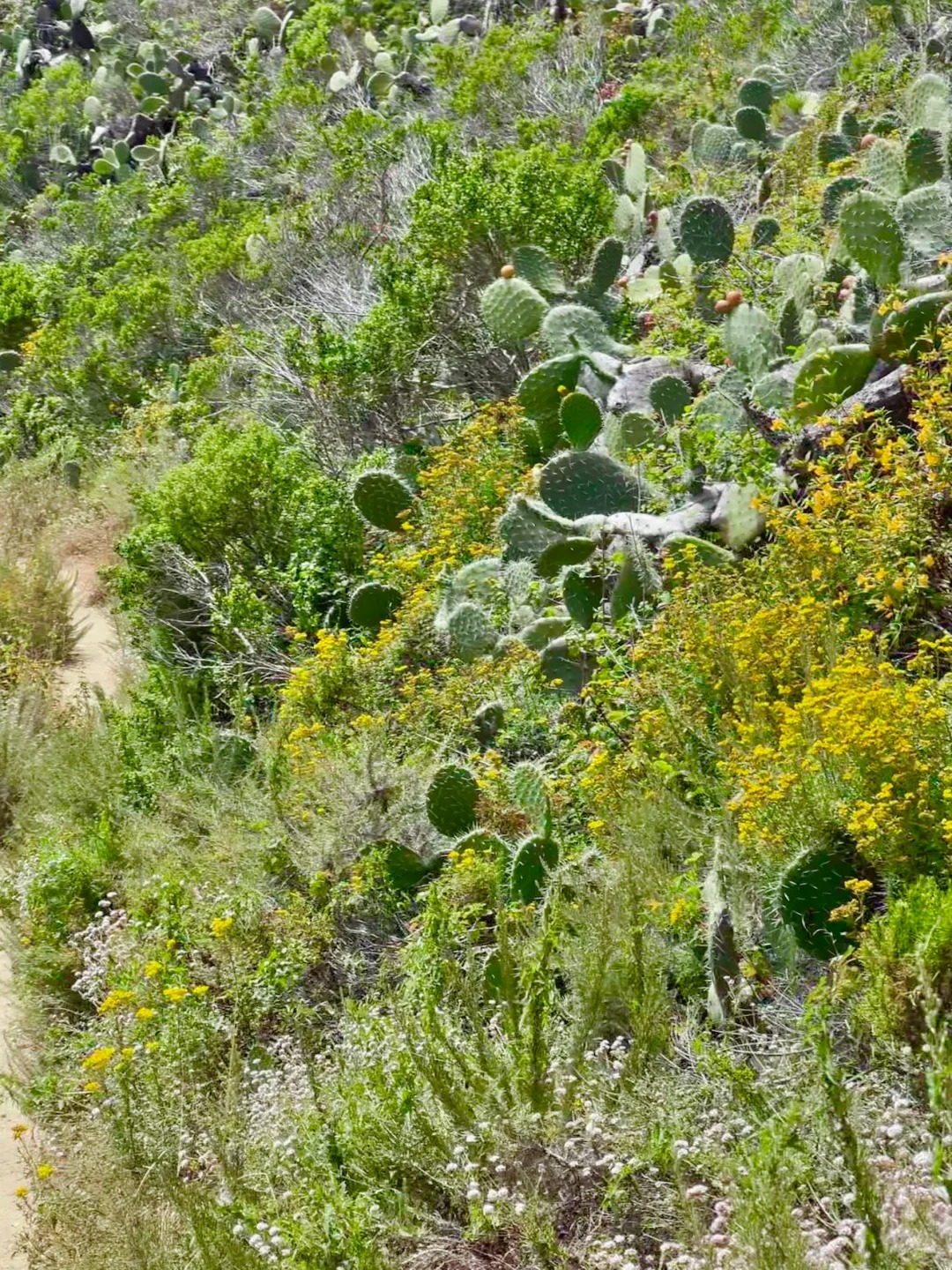 Trail Recommendations｜Bay Area One Stop Double Hidden Gems Trail
Location!!!