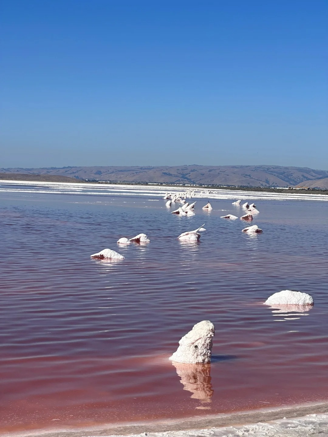 The Best Tips for Taking Pictures of Alviso Salt Lake in San Francisco's Salt Lake Bay Area