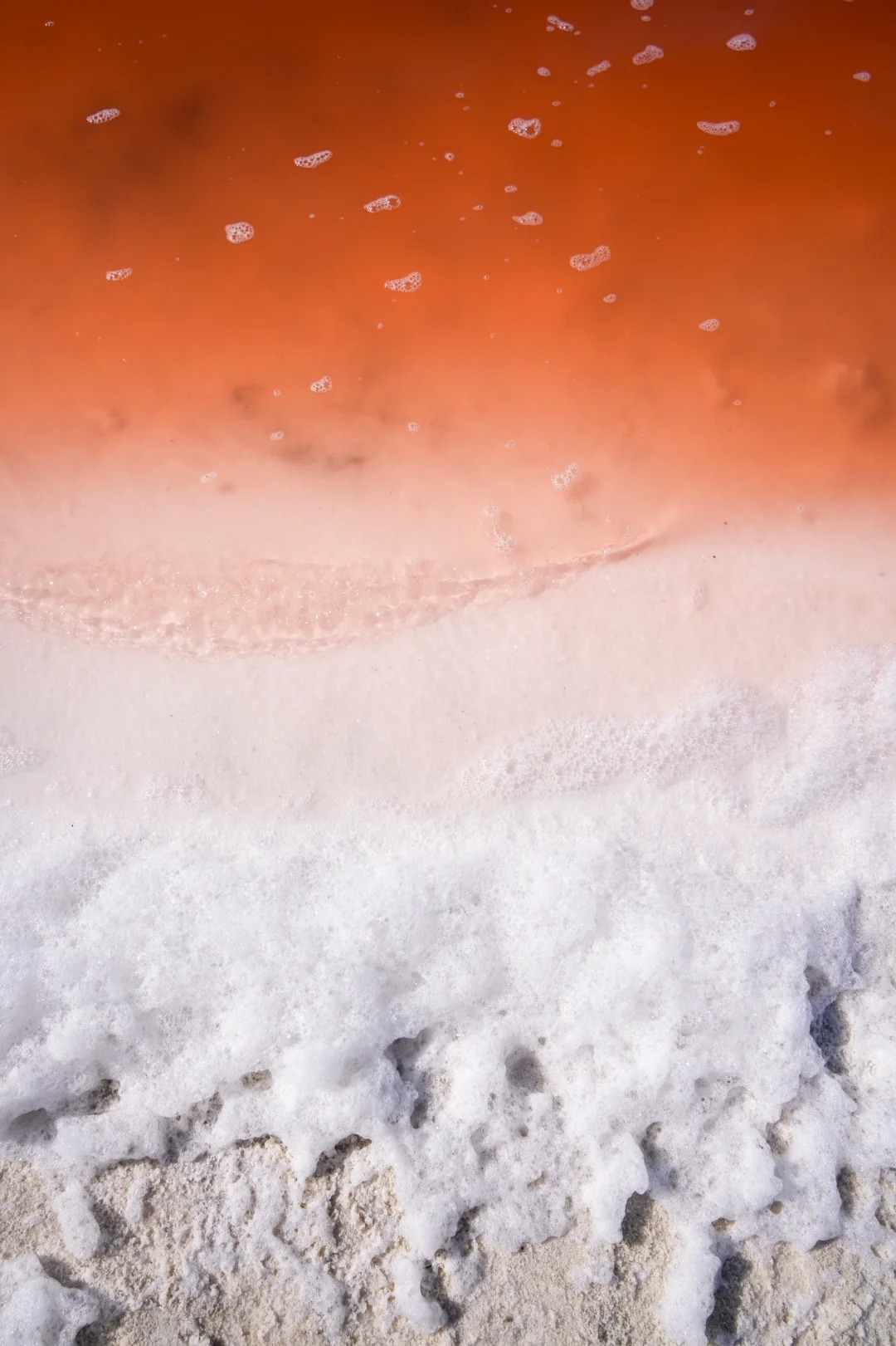 The Best Tips for Taking Pictures of Alviso Salt Lake in San Francisco's Salt Lake Bay Area