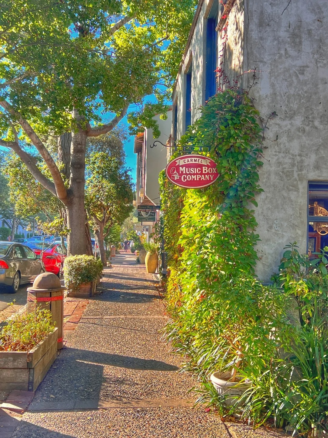 Carmel By-the-Sea | The Most Detailed Travel Tips Ever!