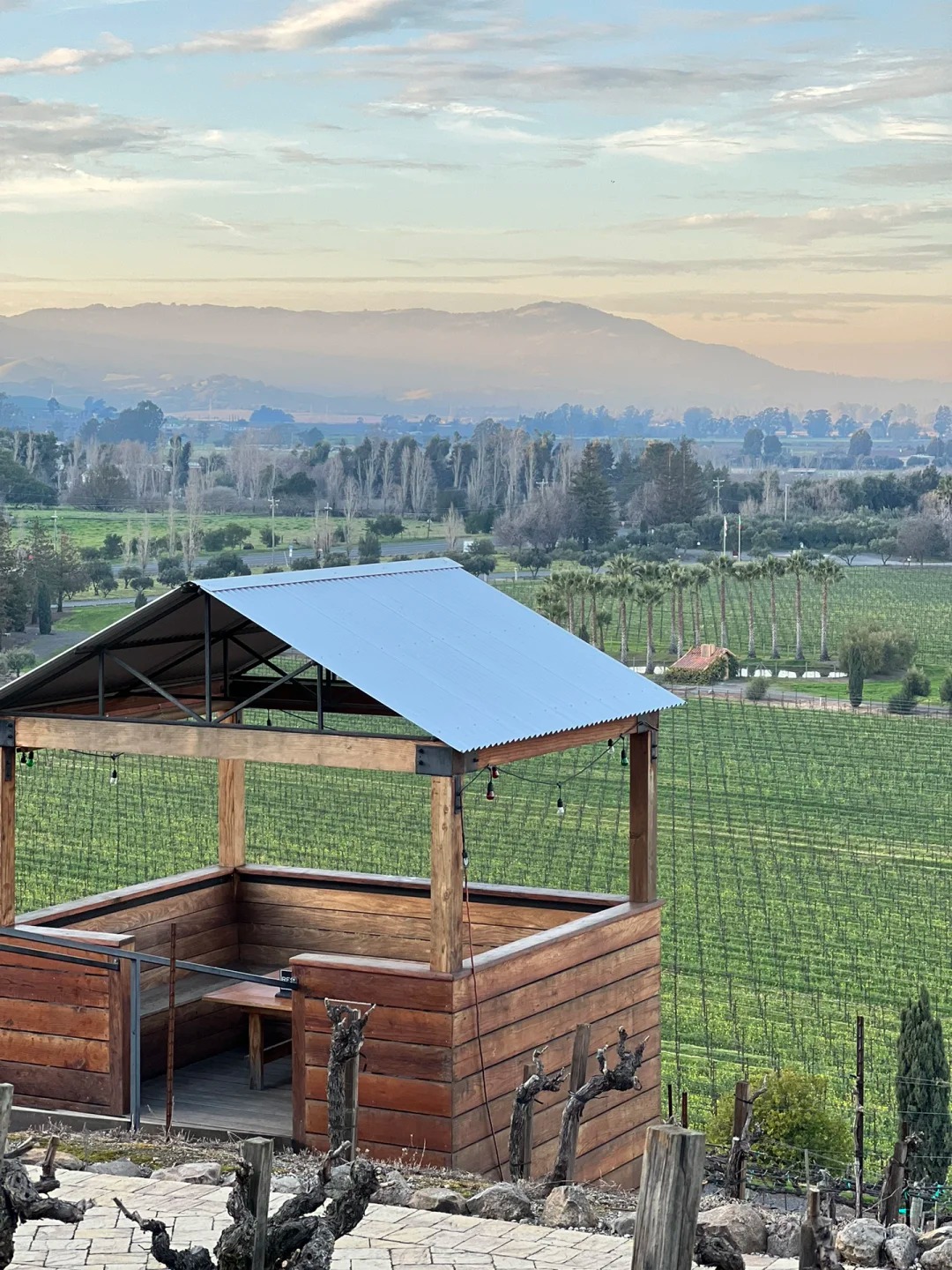 Sonoma's Best Wineries: A Cinematic Wine Experience 🍷
