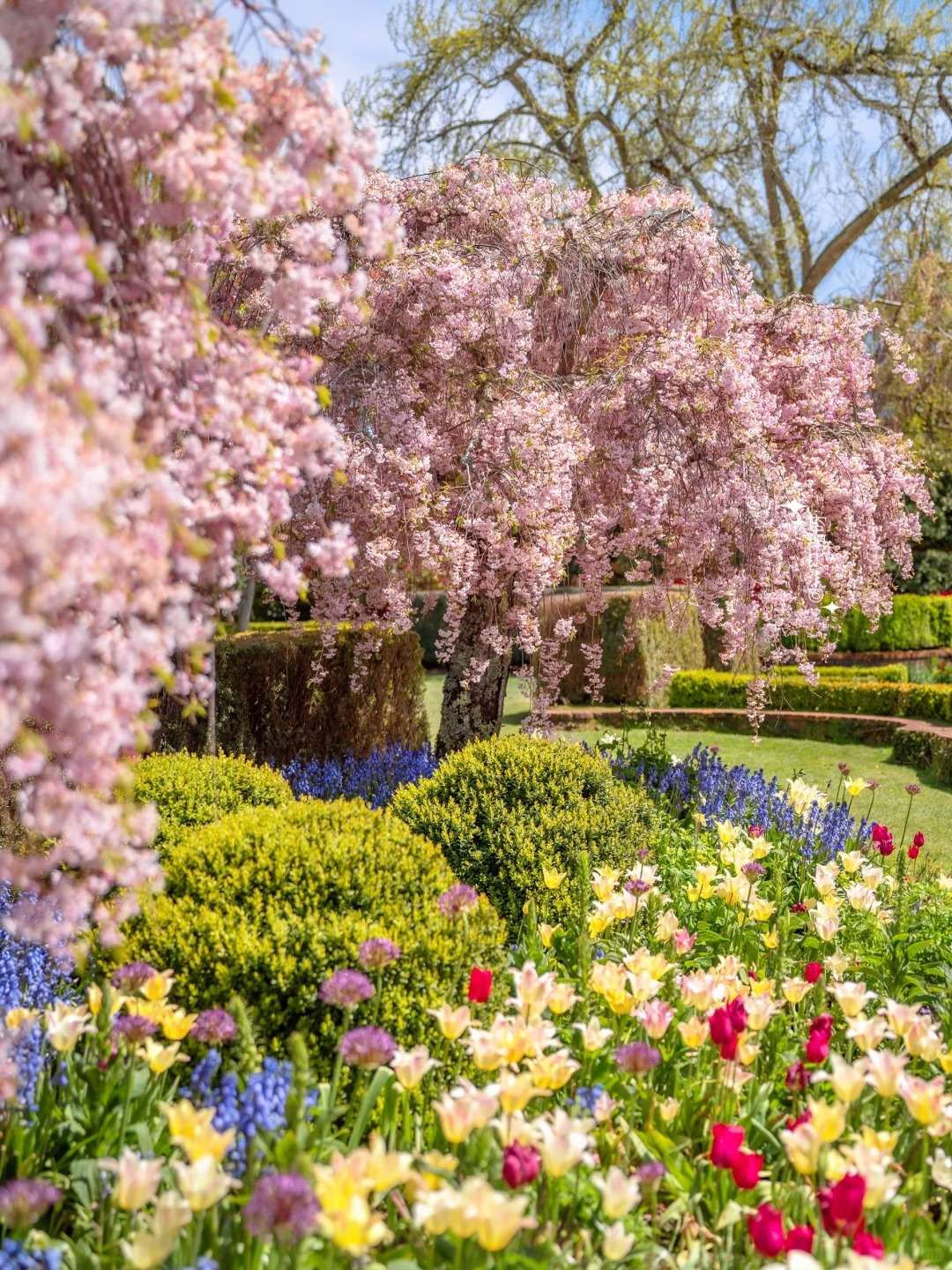 Filoli Gardens: Dreaming of a Southern French Summer Vacation