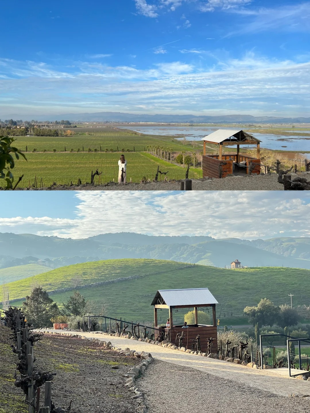 Sonoma's Best Wineries: A Cinematic Wine Experience 🍷
