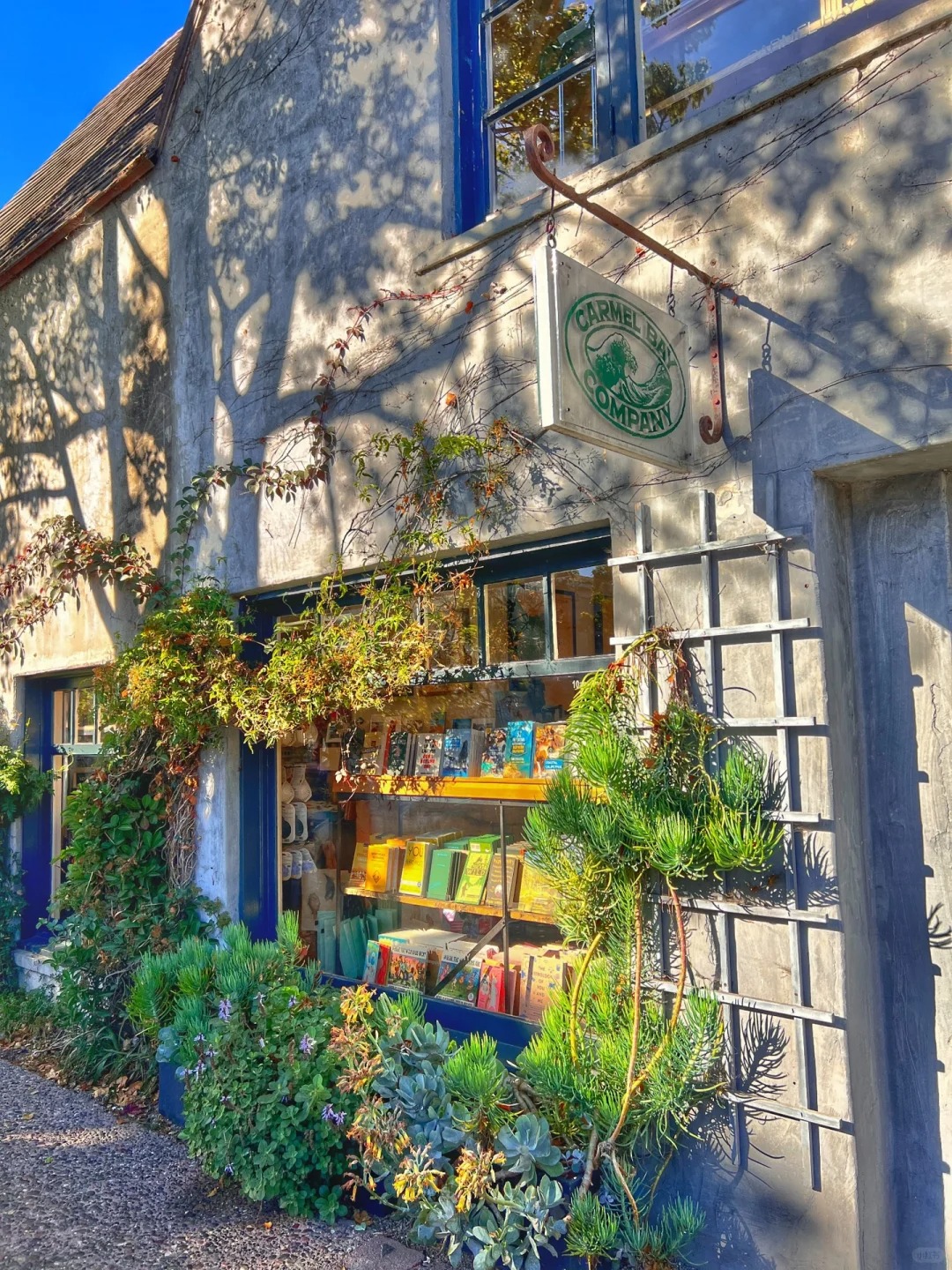 Carmel By-the-Sea | The Most Detailed Travel Tips Ever!