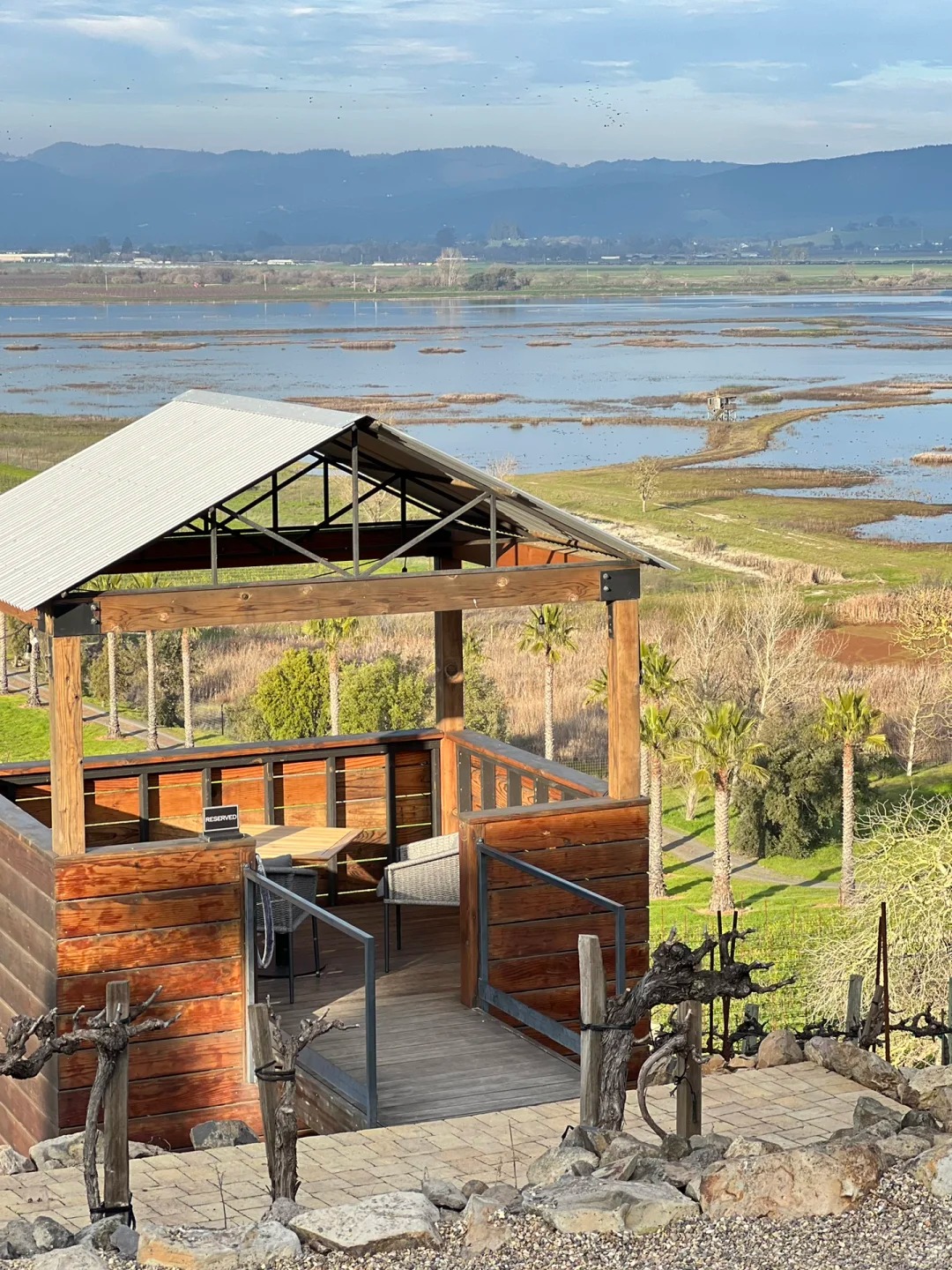 Sonoma's Best Wineries: A Cinematic Wine Experience 🍷
