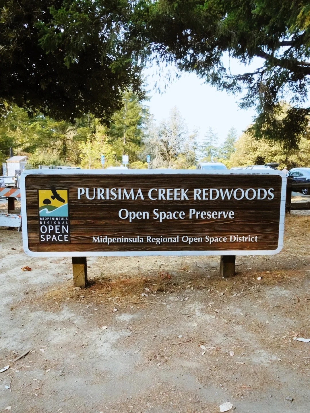 Hiking Trails for Purisma Creek Redwoods!